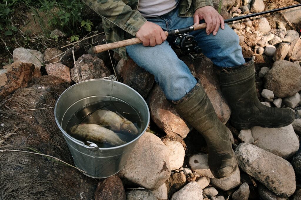 A pail ful of fresh caught fish